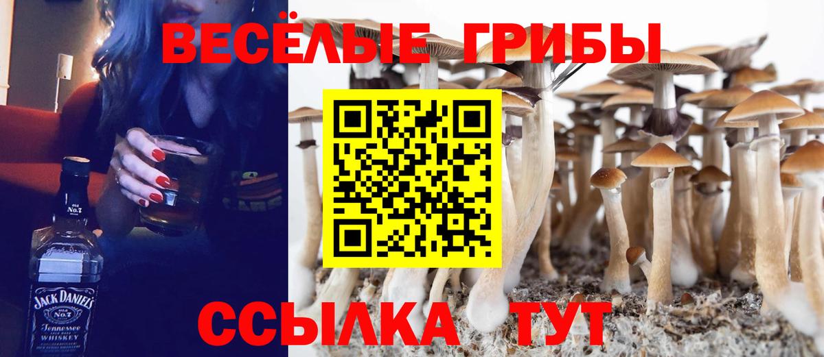 Галлюциногенные грибы прущие грибы  Вход с VPN  Южноуральск  Псилоцибиновые грибы Psilocybine cubensis 